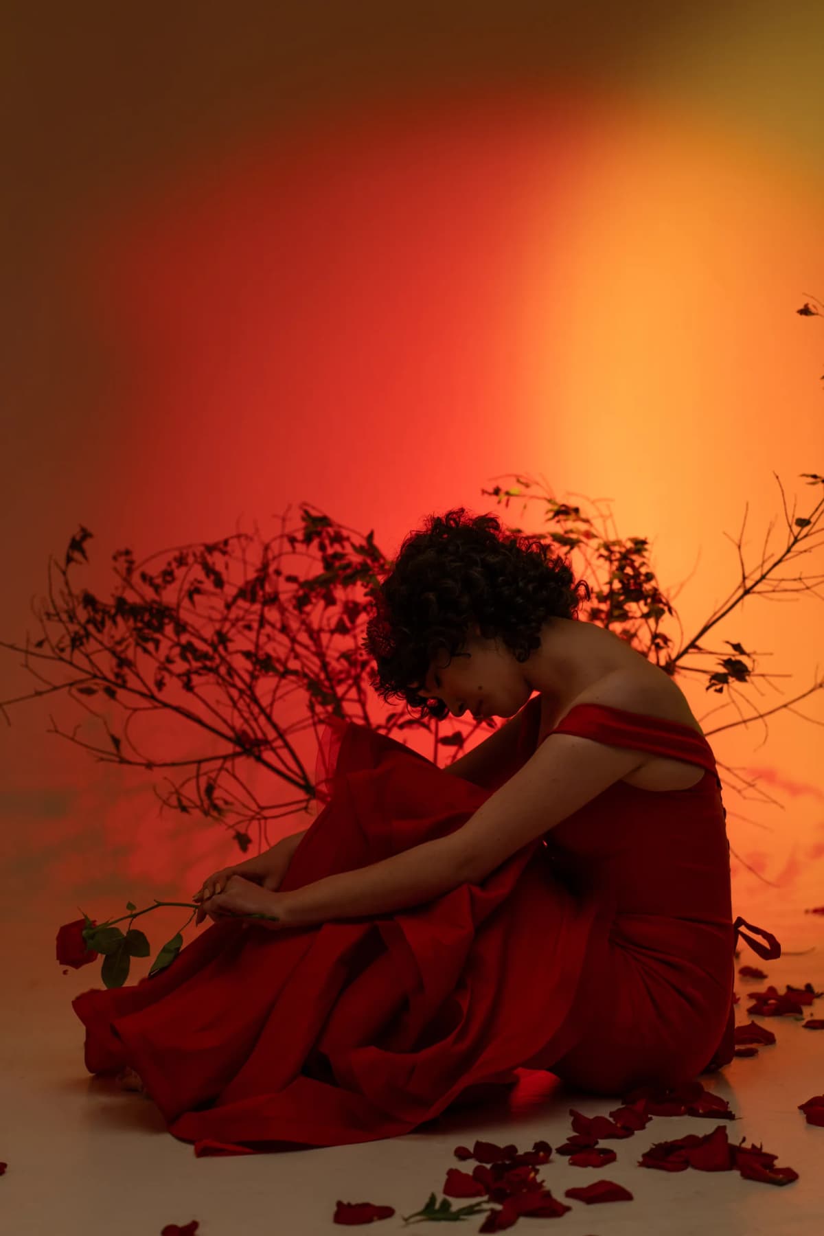 Silueta editorial roja con sombras botánicas