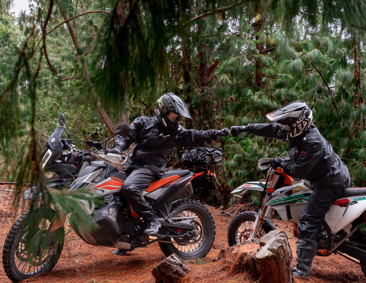 Dos motociclistas equipados se saludan desde sus motos en un sendero arbolado